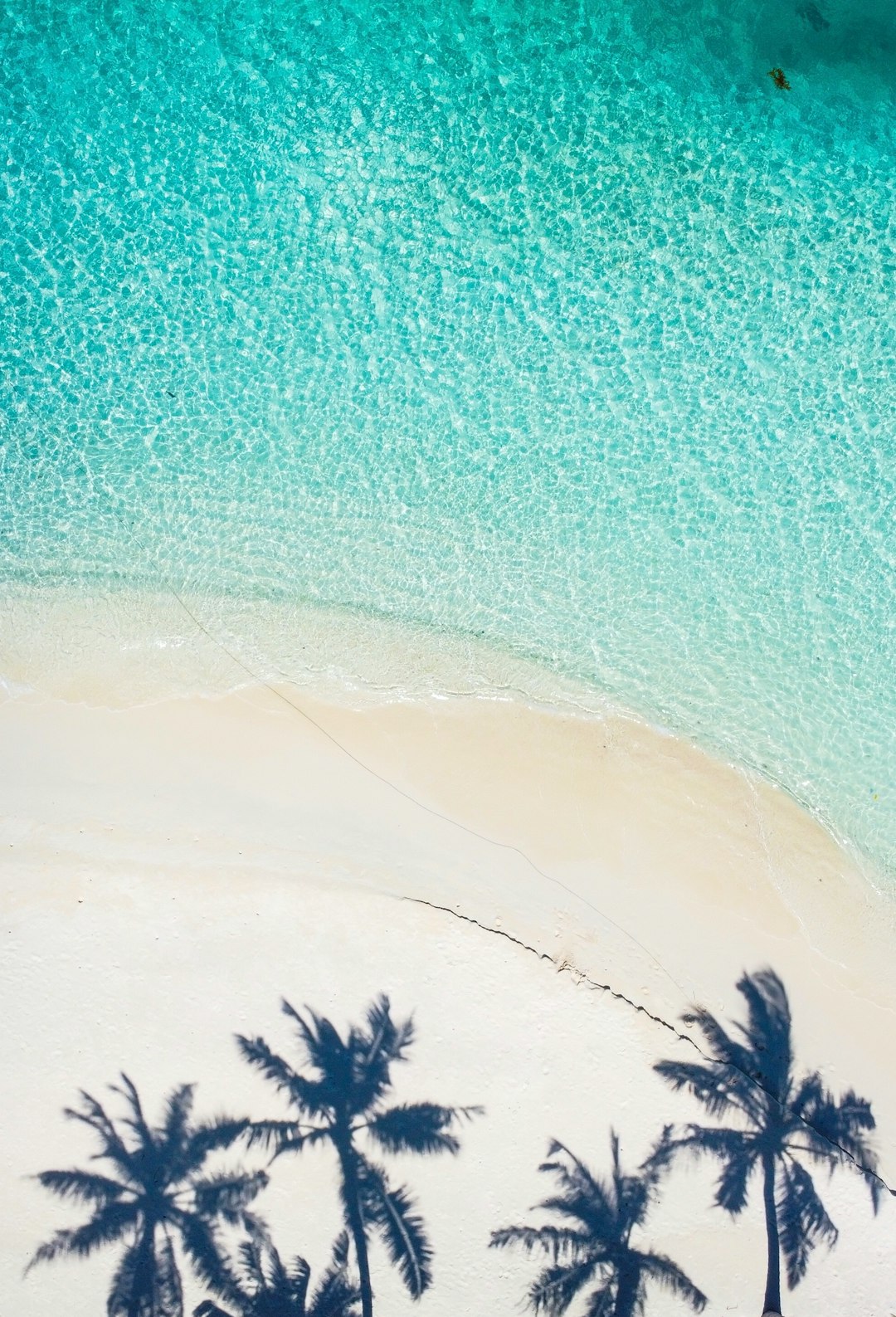 Porównanie gier i zabawek na plażę - co wybrać dla malucha?