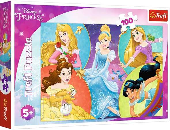 Puzzle Disney Poznaj urocze Księżniczki 100 elementów